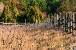 Landschaft bei Bocsa / Ungarn
